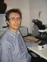 Dr. Jaume Ordi Maja