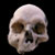 Paleopatologia