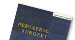 Pediatric Surgery International