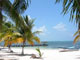 Carib