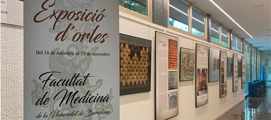 EL CoMB i el MHMC fan una crida per recuperar les orles històriques de la Facultat de Medicina de la UB