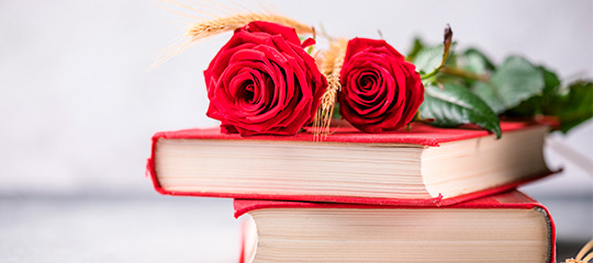 El nostre dia del llibre